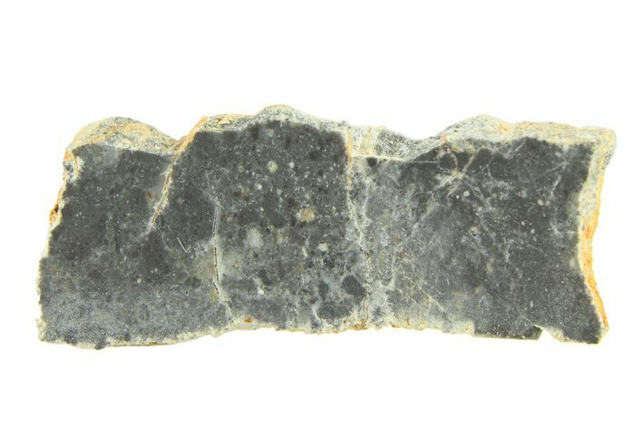 Lunar Meteorite ( g) Slice - Bechar #291703